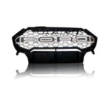 Ecosport front Grill Alpha Design