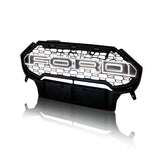 Ecosport front Grill Alpha Design